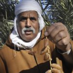 Producteur de dattes Fairdrade en Tunisie