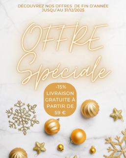 publication instagram soldes de noël festif doré (3)